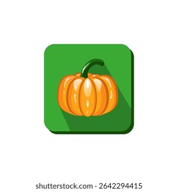 Vector drawing pumpkin. Icon pumpkin color orange, flat style