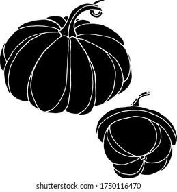 Vector drawing of pumpkins. Nature. Sketch, illustration.