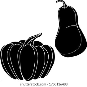 Vector drawing of pumpkins. Nature. Sketch, illustration.