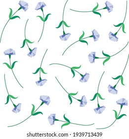 vector drawing purple carnation flowers set