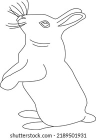 Vector drawing of rabbit in standing position