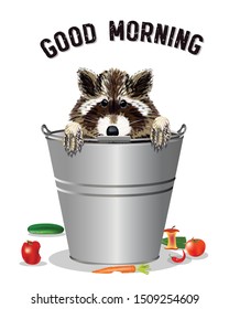Vector drawing. Raccoon in a bucket. The scattered products from the bucket lie next to the bucket. Good morning. Isolated items