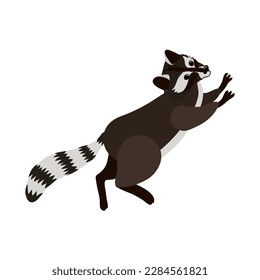 vector drawing raccoon, hand drawn animal isolated at white background , cartoon style character