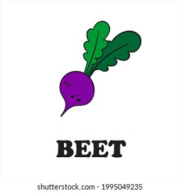 Vector drawing Radish. Sketch illustration. Simple print drawn by lines. Vector illustration of Radish clove, Radish bulb in simple style. Fresh farm food. Radish logo, print.