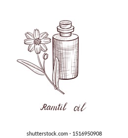 vector drawing ramtil oil, bottle of vegetable oil and Guizotia abyssinica, hand drawn illustration