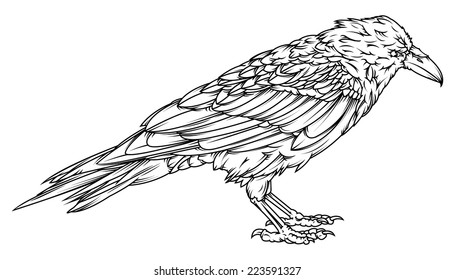 Vector drawing of a /Raven outline/ Easy to edit vector file, color version available in portfolio