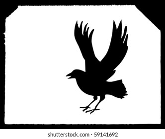 vector drawing ravens on white paper