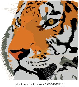 vector drawing of realistic noble tiger