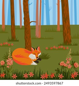 vector drawing red fox, pine trees and green grass nd flowers, hand drawn animal at forest background , cartoon style illustration