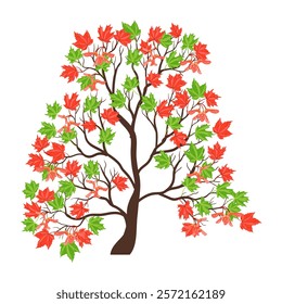 vector drawing red maple tree with green and red leaves and seeds , Acer rubrum isolated at white background, hand drawn illustration