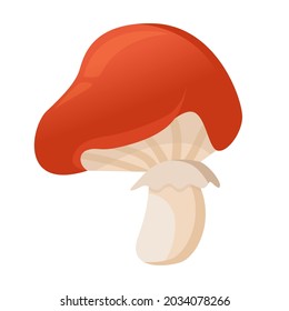 Vector drawing of a red mushroom with a skirt. Toadstool mushroom. Autumn theme. Red mushroom isolated on white background