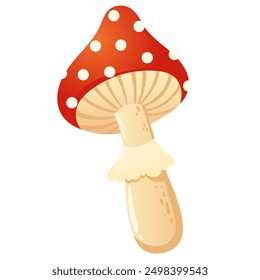 Vector drawing of a red mushroom with white spots and a skirt. Toadstool mushroom. Red mushroom isolated on white background