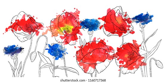 vector drawing red poppies and cornflowers and watercolor paint stains, floral composition, hand drawn illustration