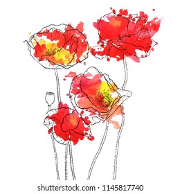 vector drawing red poppy flowers with watercolor paint stains, floral composition, hand drawn illustration