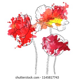 vector drawing red poppy flowers with watercolor paint stains, floral composition, hand drawn illustration
