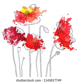 vector drawing red poppy flowers with watercolor paint stains, floral composition, hand drawn illustration