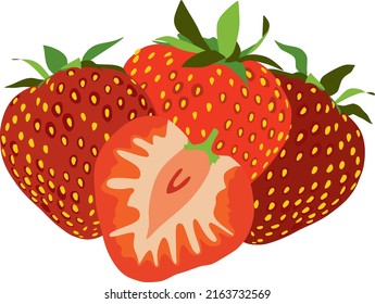 Vektorgrafik einer roten Erdbeere. Gartensüße Beere. Vier köstliche saftige Früchte.