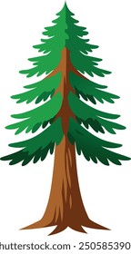 Vector Drawing of a Redwood tree 
