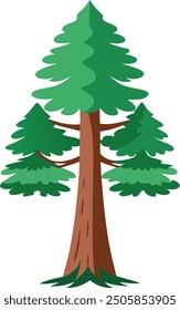 Vector Drawing of a Redwood tree 