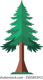 Vector Drawing of a Redwood tree 