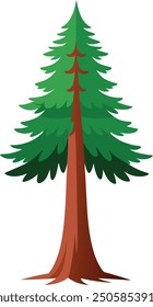 Vector Drawing of a Redwood tree 