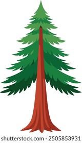 Vector Drawing of a Redwood tree 