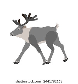 vector drawing reindeer, caribou isolated at white background, hand drawn illustration