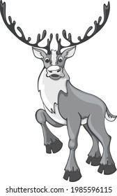 Vector drawing of a reindeer with large antlers on a white background.