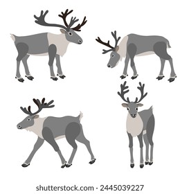 vector drawing reindeers, caribou isolated at white background, hand drawn illustration