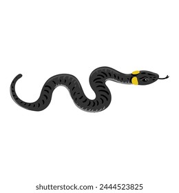 vector drawing ringed snake isolated at white background, hand drawn illustration