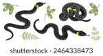 vector drawing ringed snakes and green leaves isolated at white background, hand drawn illustration