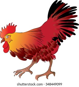 vector drawing rooster