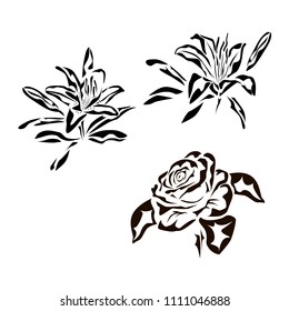 Vector drawing of a rose tattoo, logo.Lily.