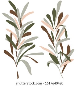 Vector drawing of rosemary. Handmade work. Great idea for a postcard, calendar, holiday invitation, wrapping paper. Suitable for decorating recipes, frames, diaries.