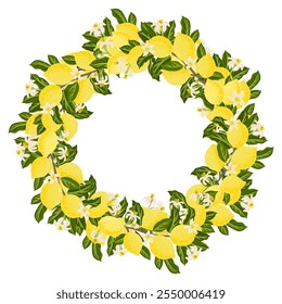 Image vectorielle dessinant un cadre rond avec branche de citronnier avec fruits, fleurs et feuilles vertes, couronne florale isolée sur fond blanc, illustration dessinée à la main