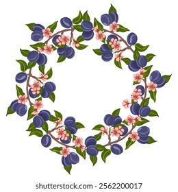 vector drawing round frame with plum tree branches, fruits,flowers and green leaves isolated at white background, floral wreath, hand drawn illustration