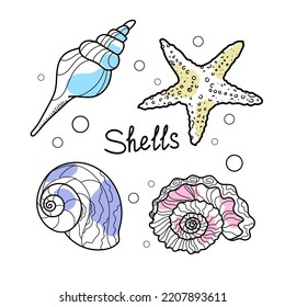 vector drawing sea different seashells. Drawn by a line and color on a white background. Collection of seashells of various shapes