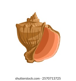 vector drawing sea shell, rapana, veined rapa whelk isolated at white background, hand drawn illustration