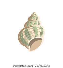 vector drawing sea shell, seashell isolated at white background, hand drawn illustration