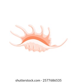 vector drawing sea shell, spider conch, isolated at white background, hand drawn illustration