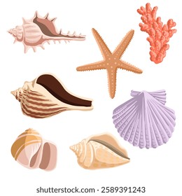 vector drawing sea shells, coral and sea star isolated at white background, hand drawn illustration