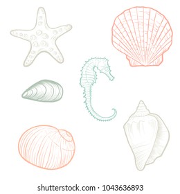 vector drawing sea shells, hand drawn illustration
