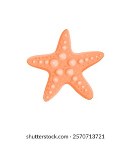 vector drawing sea star isolated at white background, hand drawn illustration