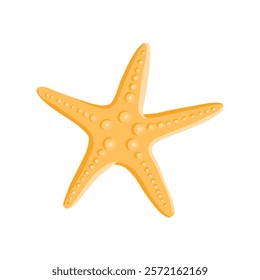 vector drawing sea star isolated at white background, hand drawn illustration