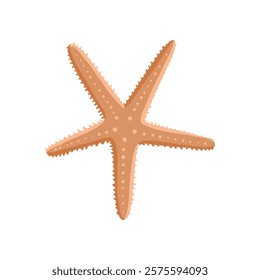 vector drawing sea star isolated at white background, hand drawn illustration