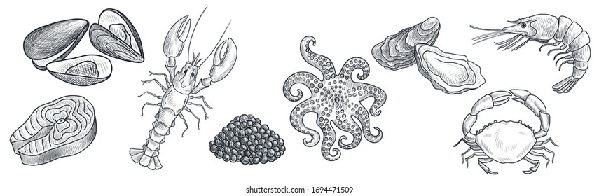 vector drawing seafoods, lobster,oysters, shrimp and octopus, hand drawn illustration