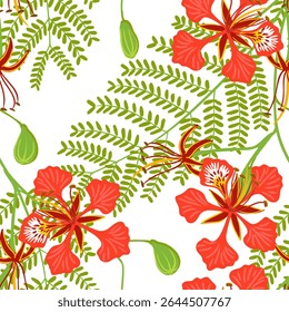 desenho de vetor padrão sem costura com ramo de real poinciana, flamboyant, flor de fênix, árvore de chama com folhas e flores , Delonix regia no fundo branco, desenhado à mão ilustração
