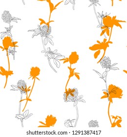 vector drawing seamless pattern with clover flowers, floral background, hand drawn botanical illustration