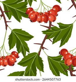 desenho de vetor padrão sem emenda com galho de árvore de espinheiro com bagas vermelhas e folhas verdes no fundo branco, desenhado à mão ilustração