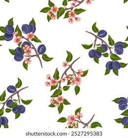 vector drawing seamless pattern plum tree branch with fruits, flowers and green leaves at white background, hand drawn illustration